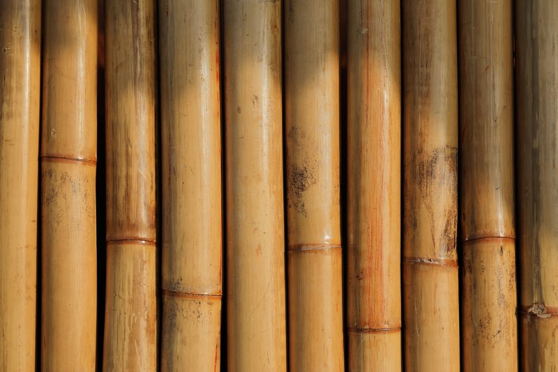 Il bambù dalla progettazione all’arredo