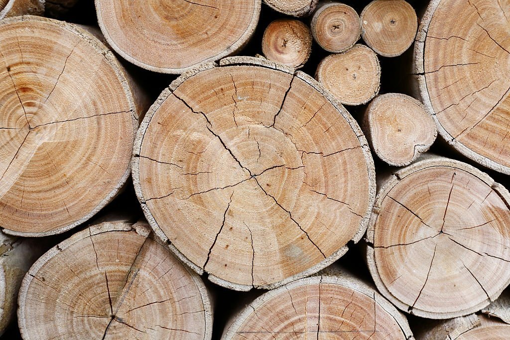 Troncatrici per legno, cosa sono e quale scegliere